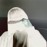 Avatars-000021322758-lnrj63-badge