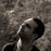 Avatars-000021446173-ogbitm-badge