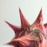 Avatars-000022269922-58epvj-badge