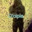 Avatars-000022392533-7a2n41-badge