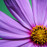 Avatars-000022827866-78jekj-badge