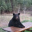 Avatars-000024643626-907odv-badge