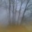 Avatars-000025244526-cilv8p-badge