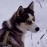 Avatars-000026843834-srcwz3-badge