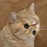 Avatars-000027822018-1mw4qc-badge