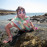 Avatars-000028201592-9epppf-badge