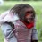 Avatars-000028286131-a152yj-badge