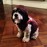 Avatars-000028459246-68o2c2-badge