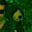 Avatars-000028823583-ripqjs-badge