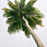 Avatars-000030043179-aeutnv-badge
