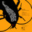 Avatars-000030311189-f9rwdp-badge