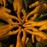 Avatars-000031459065-gxhdr1-badge