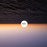 Avatars-000033833160-rwzglm-badge