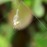 Avatars-000034021298-jsgrkh-badge