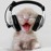 Avatars-000034846633-mgfs26-badge