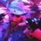 Avatars-000036501454-9dtjim-badge