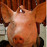 Avatars-000037976100-m1n2i1-badge