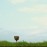 Avatars-000038758122-oclwsj-badge