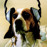 Avatars-000039691881-fsvfnp-badge