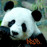 Avatars-000039725465-fa4inf-badge