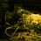 Avatars-000039761062-andcwg-badge