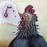 Avatars-000040581516-skjpbx-badge