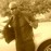Avatars-000040932468-t46qrj-badge