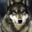 Avatars-000041146178-hmzu4s-badge