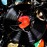 Avatars-000041254573-p6oppp-badge