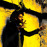 Avatars-000041368157-cdsgvs-badge