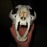 Avatars-000041468251-ytrjuz-badge