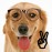 Avatars-000041803912-wb2960-badge