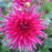 Avatars-000041866789-fjvkec-badge