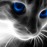 Avatars-000041940870-5xf9v2-badge
