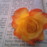 Avatars-000042107429-mdayow-badge