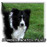 Avatars-000044725273-t98v7y-badge