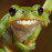 Avatars-000044850675-ah33rj-badge