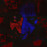 Avatars-000044929774-5dly47-badge