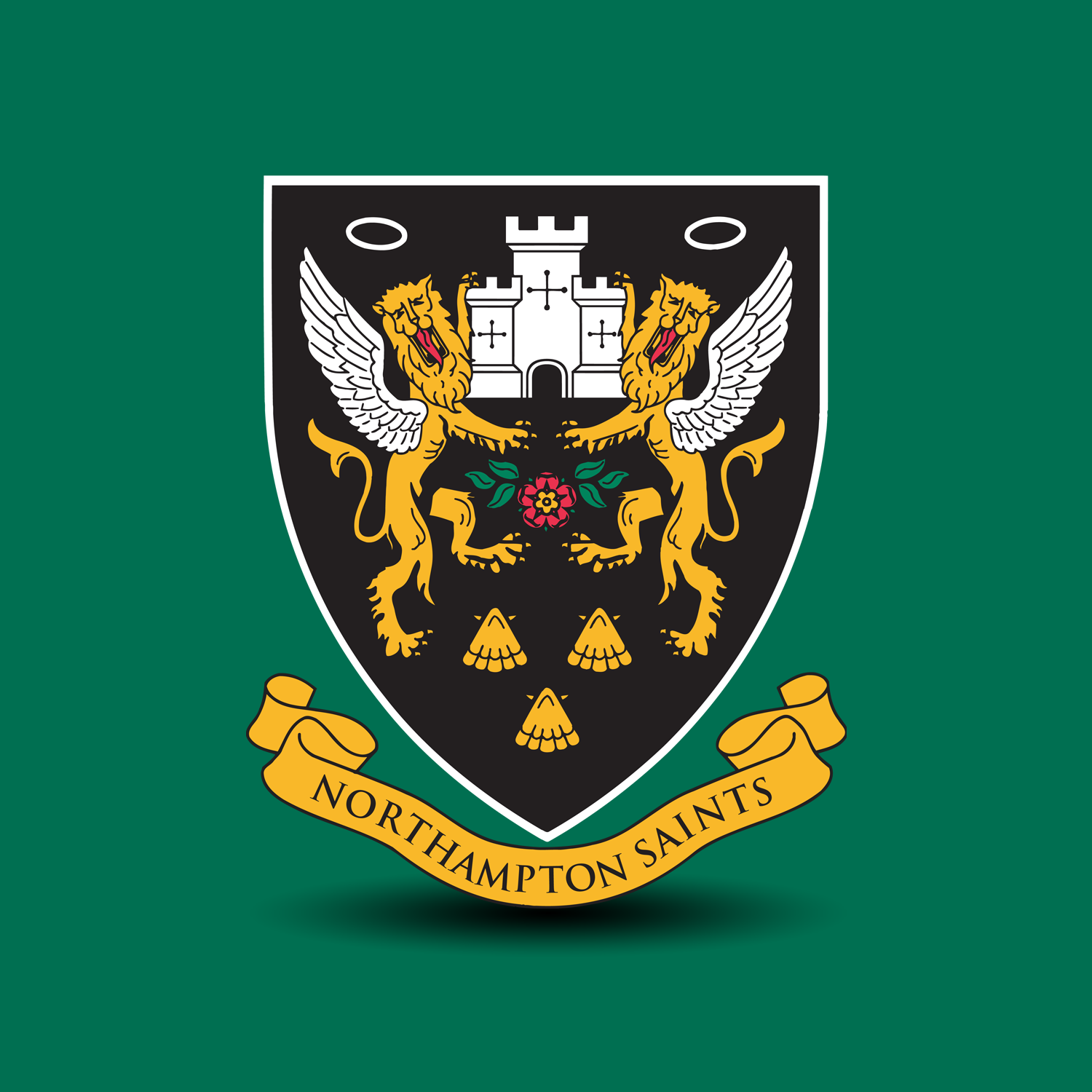 Northampton Saints Rugby 