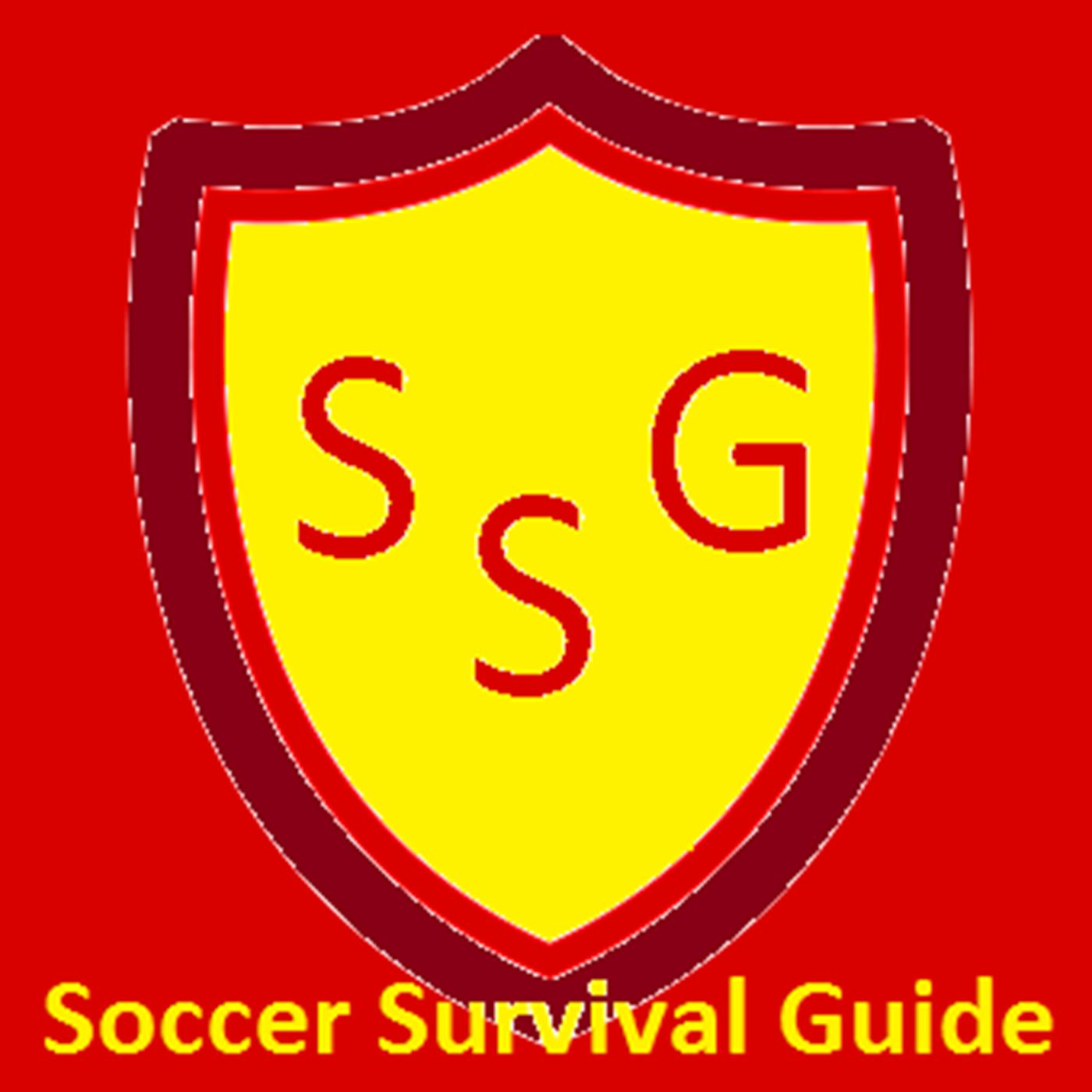 9/23/15 Survival Tip #5 - Learn the Offside Rule ... Then Complain About the Refs