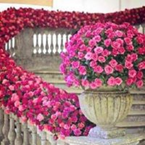 Декор для дома из цветов Декор для дома из цветов