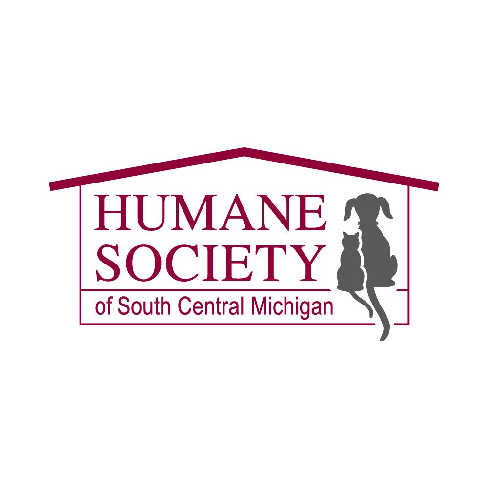 8. Travel Safety for Pets 12042015