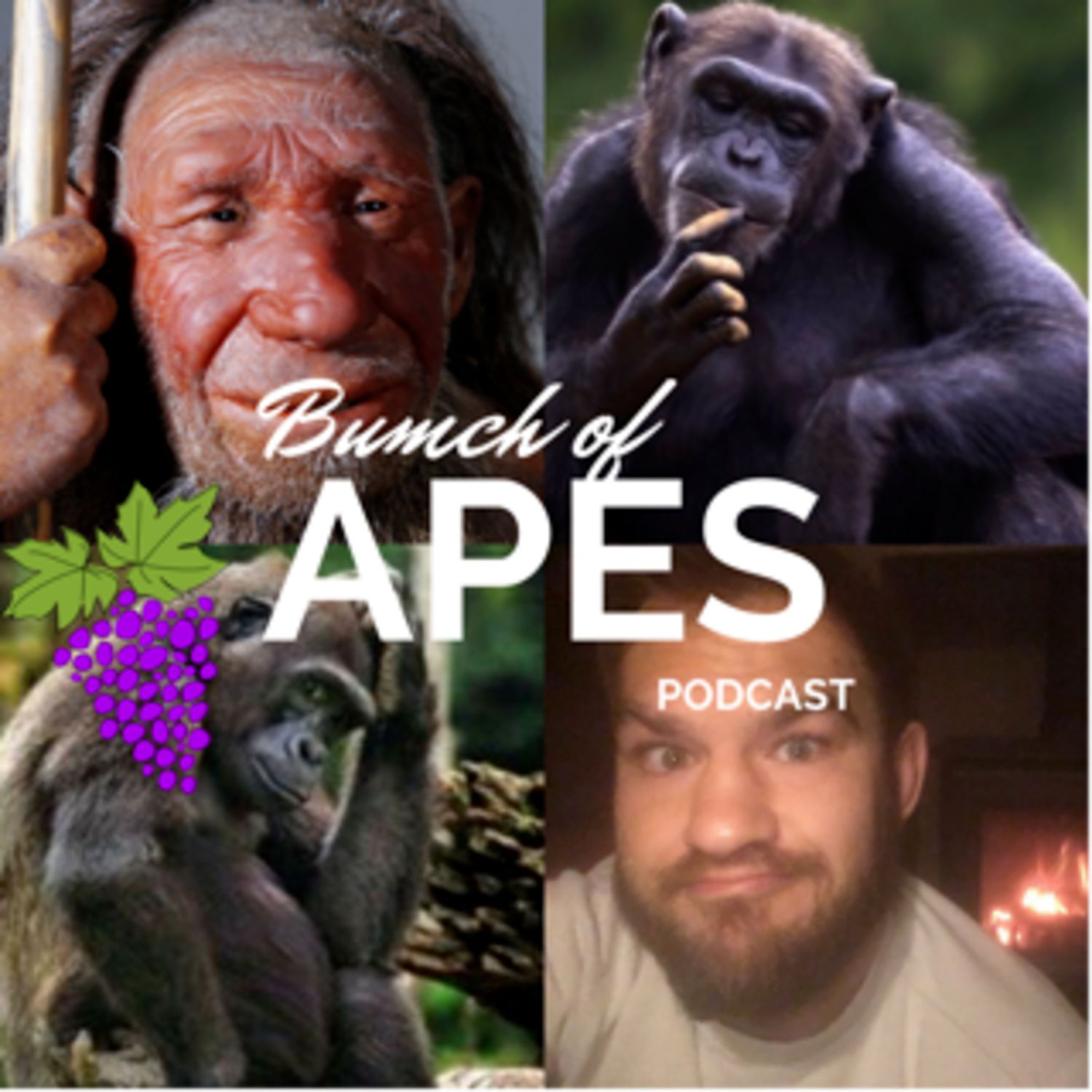 Nutrition and Training with James Buckingham