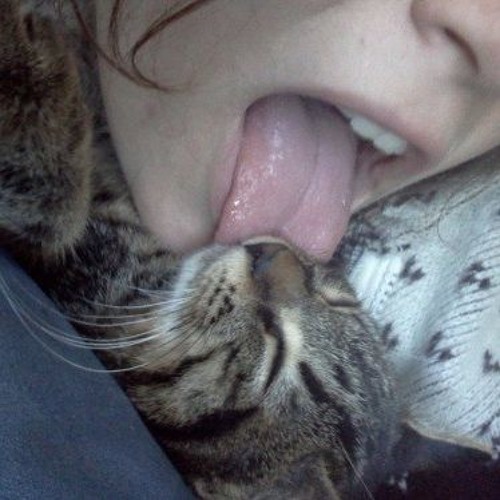 Electric pussy licking torment fan images