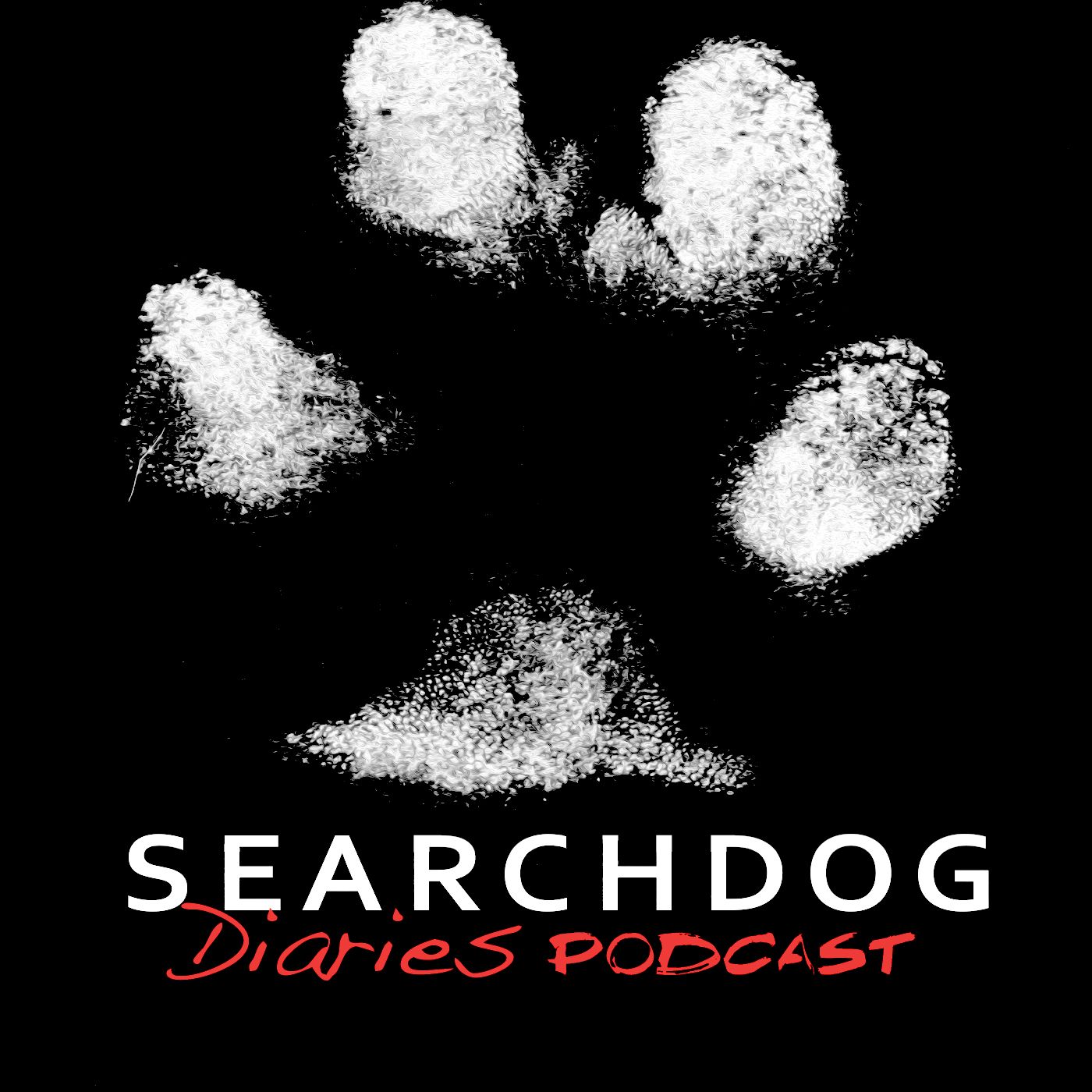 Music of SEARCHDOG: Film Composer & Musician Tim Maurice