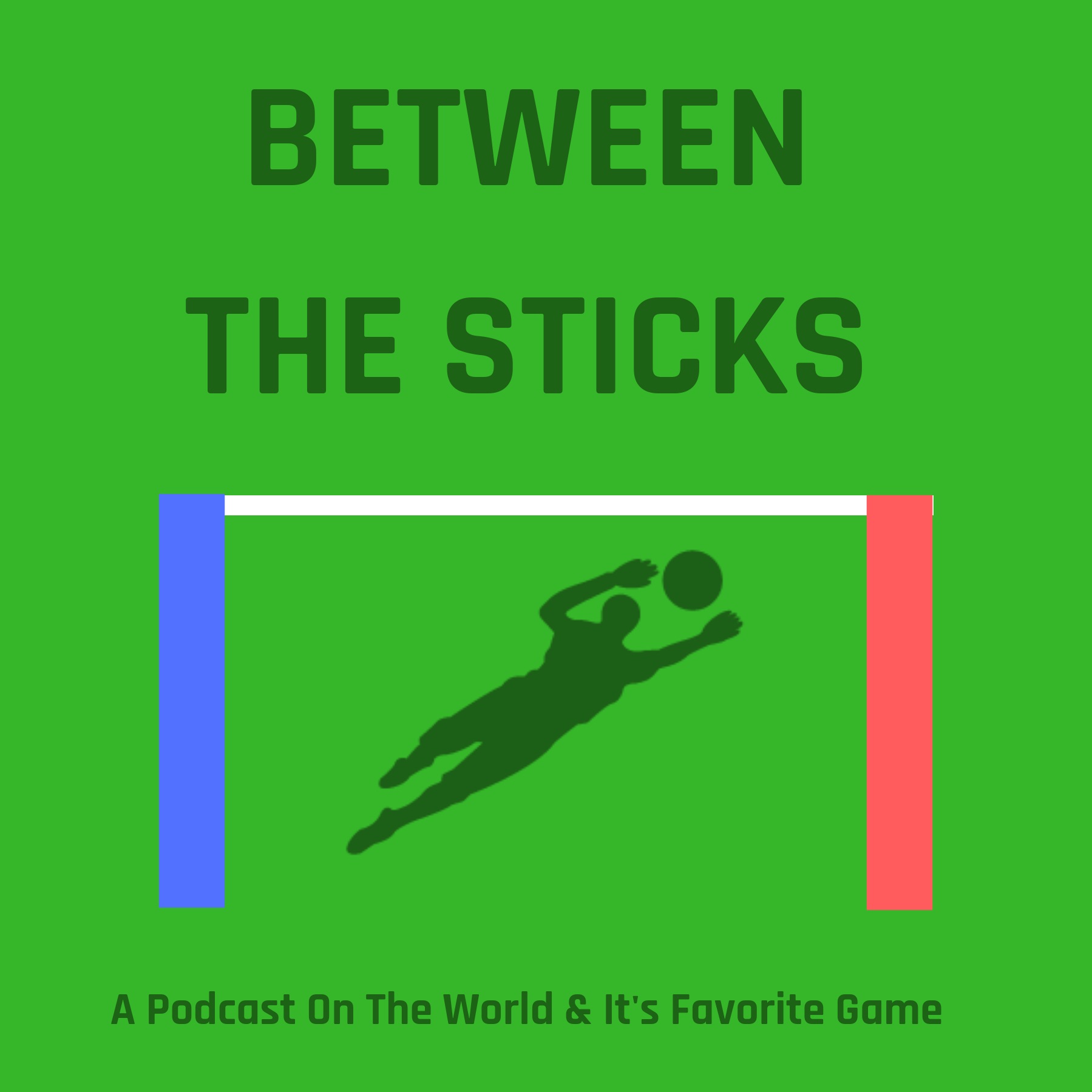 0005 - Greenville's Triumphant Collaboration Between Corporate And Grassroots Soccer