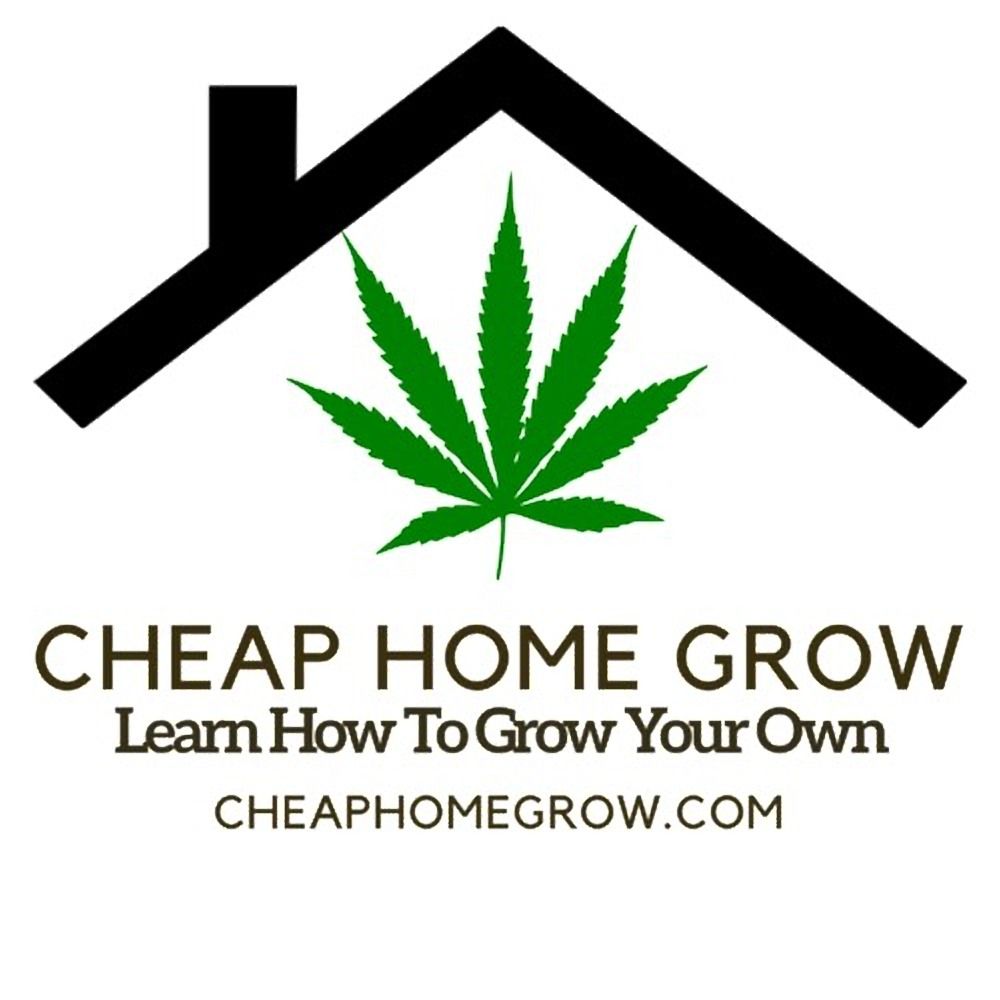 GWMFG 36:  Hydroponic Growing Growing – 101 - Cheap Home Grow - Learn How To Grow Cannabis Podcast