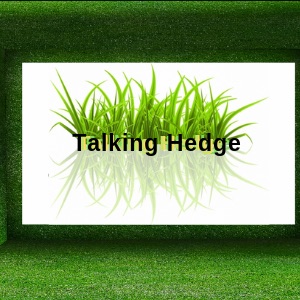 The Talking Hedge Podcast