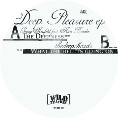 Georg Neufeld feat.Nica Brooke - The Deepness - 96 kBit/s