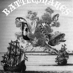 Havana Beach  Party 1959 - American Frog